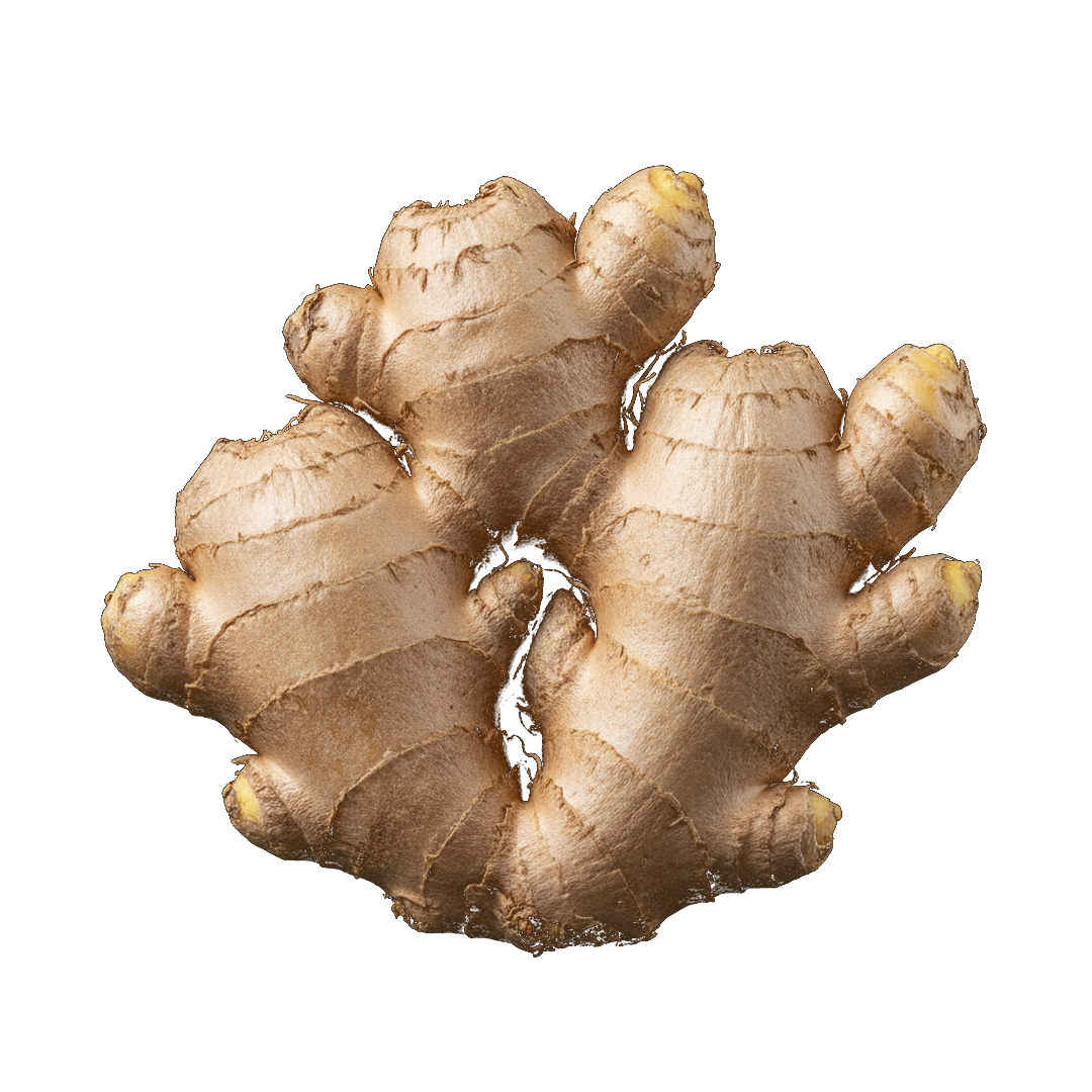 A piece of fresh ginger root with a black background.
