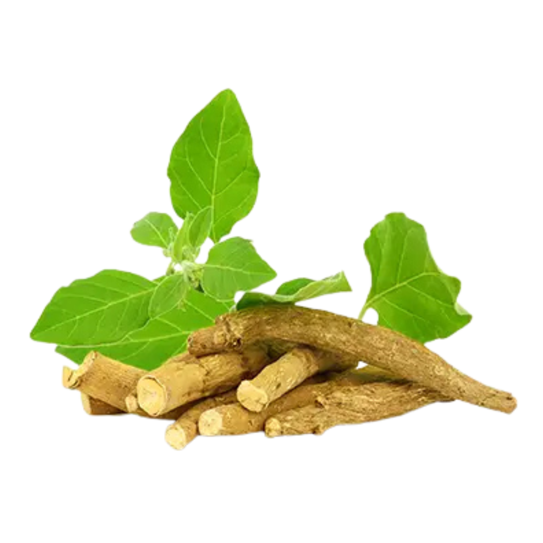 Ashwagandha roots and leaves on a white background.
