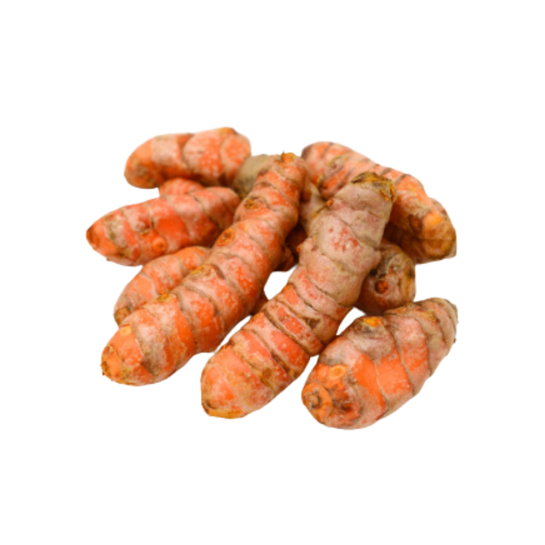 Fresh turmeric roots on a white background.