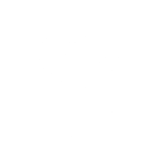 Silhouette of a head with the brain depicted inside.